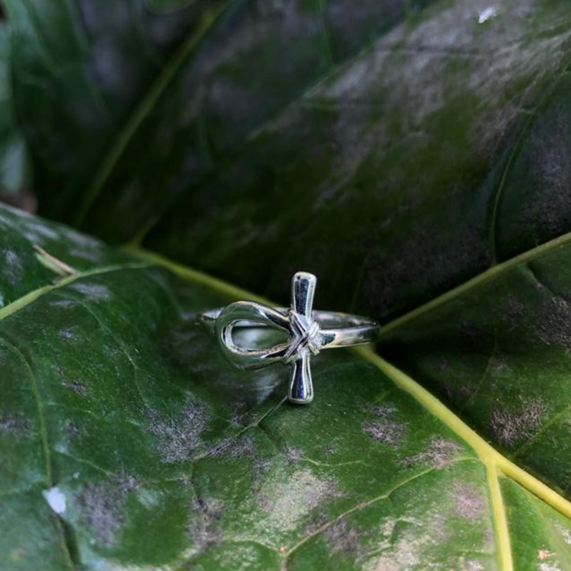 Silver Anhk Ring