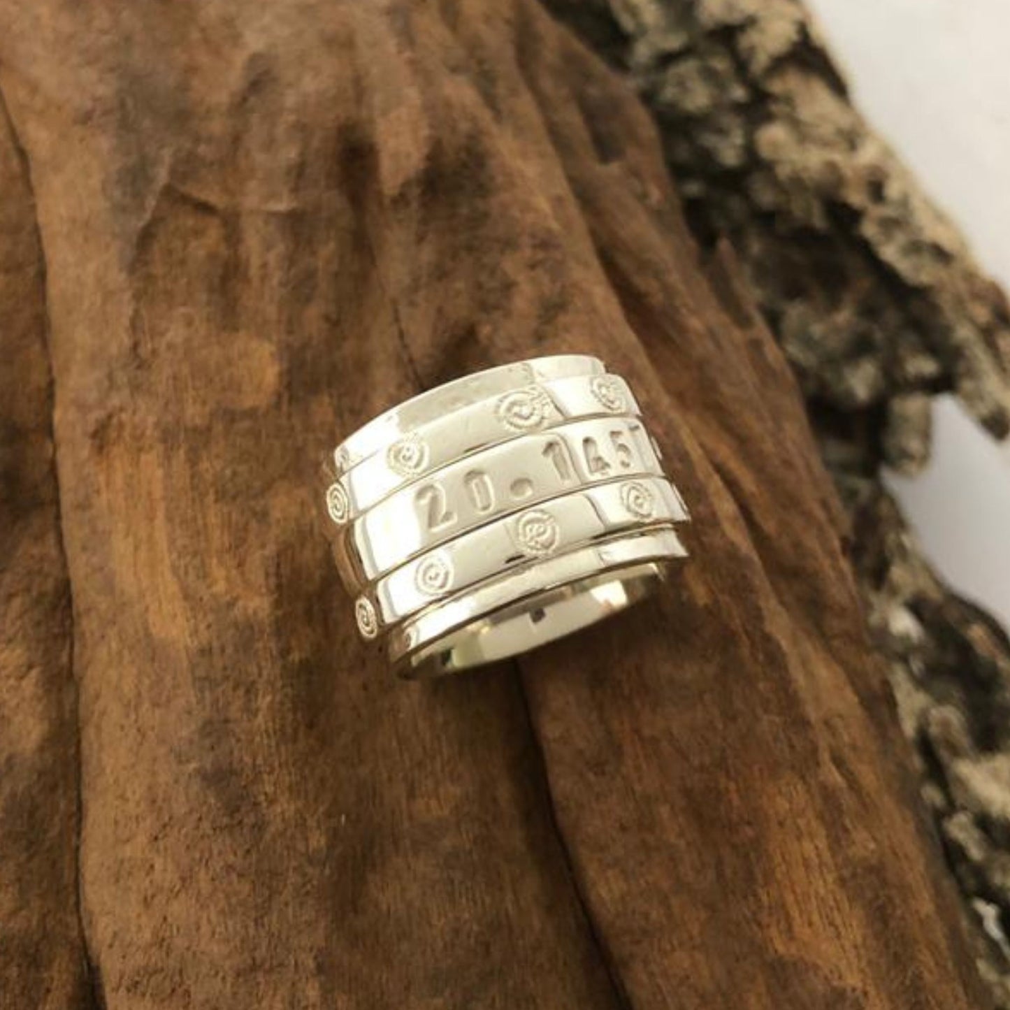 Take Me Home Ndoro GPS Spinner Ring in Sterling Silver