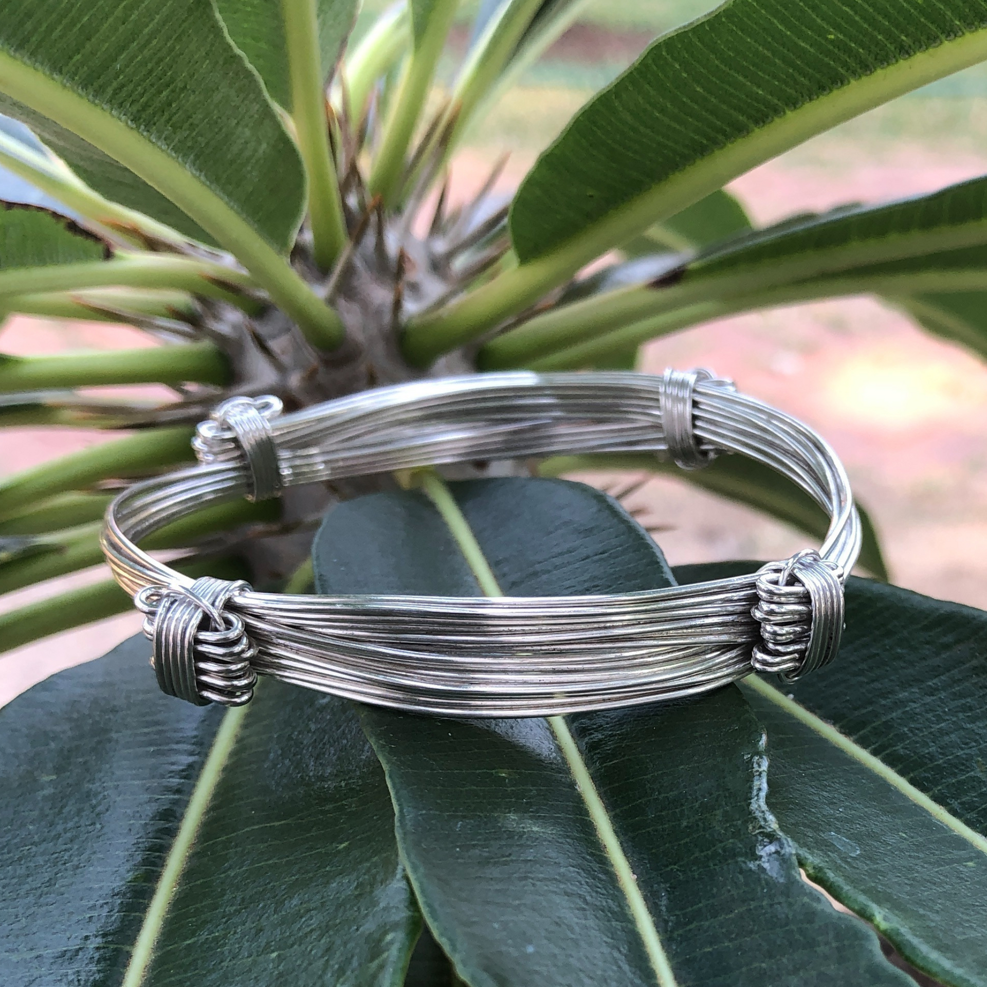 2_1869c848-af83-41c1-a06d-